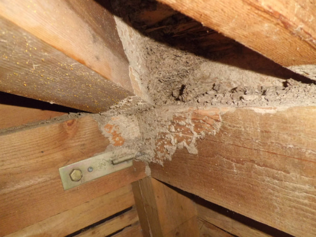 田辺邸～メイトム 009