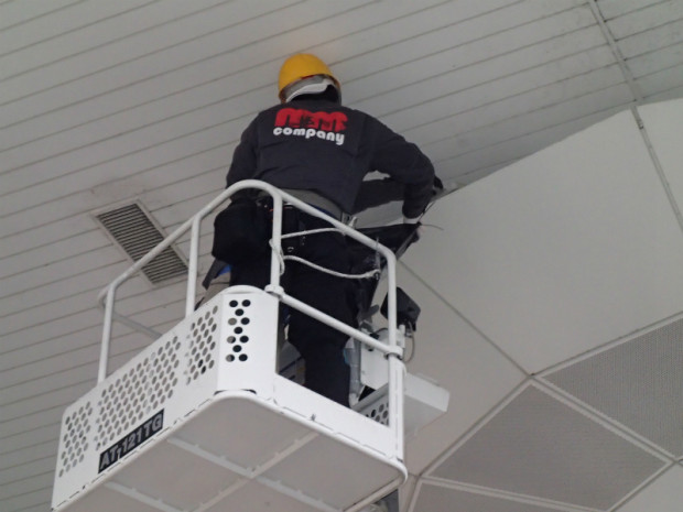 宗像医師会ハト 025