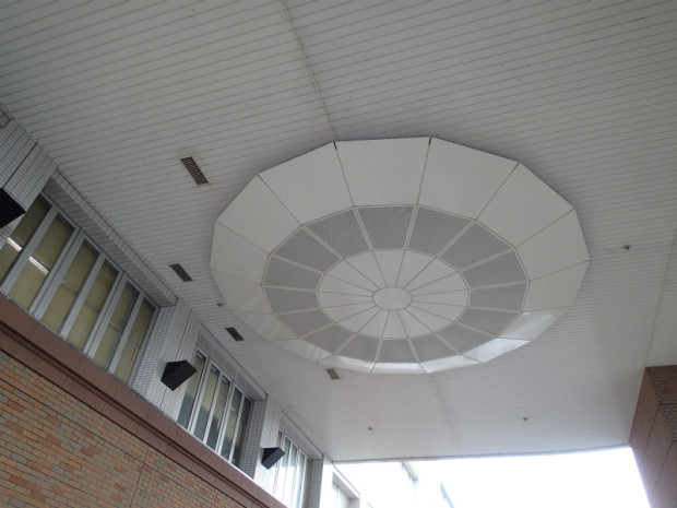 宗像医師会ハト 002