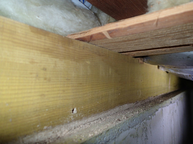 とも邸~真珠園 003